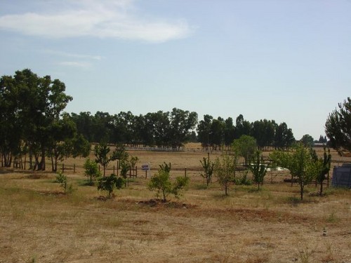 9140  Knights Lane, Wilton, Ca, 95693, USA
